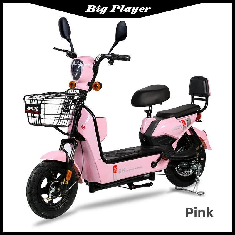 Rich Dragon Adult Electric Bicycle