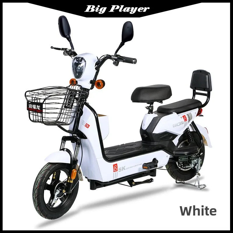 Rich Dragon Adult Electric Bicycle
