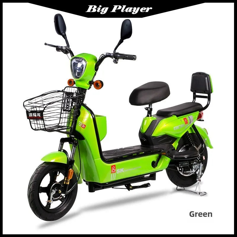 Rich Dragon Adult Electric Bicycle