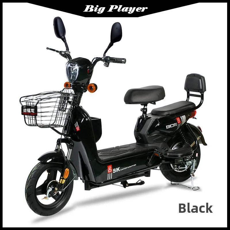 Rich Dragon Adult Electric Bicycle