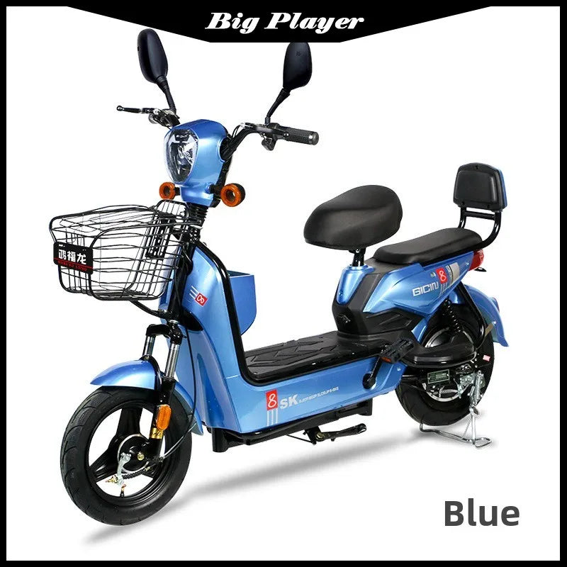 Rich Dragon Adult Electric Bicycle