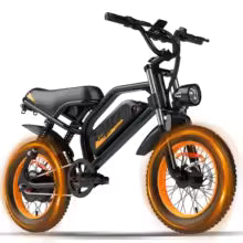 VDL A13 E-bike