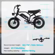 VDL A13 E-bike