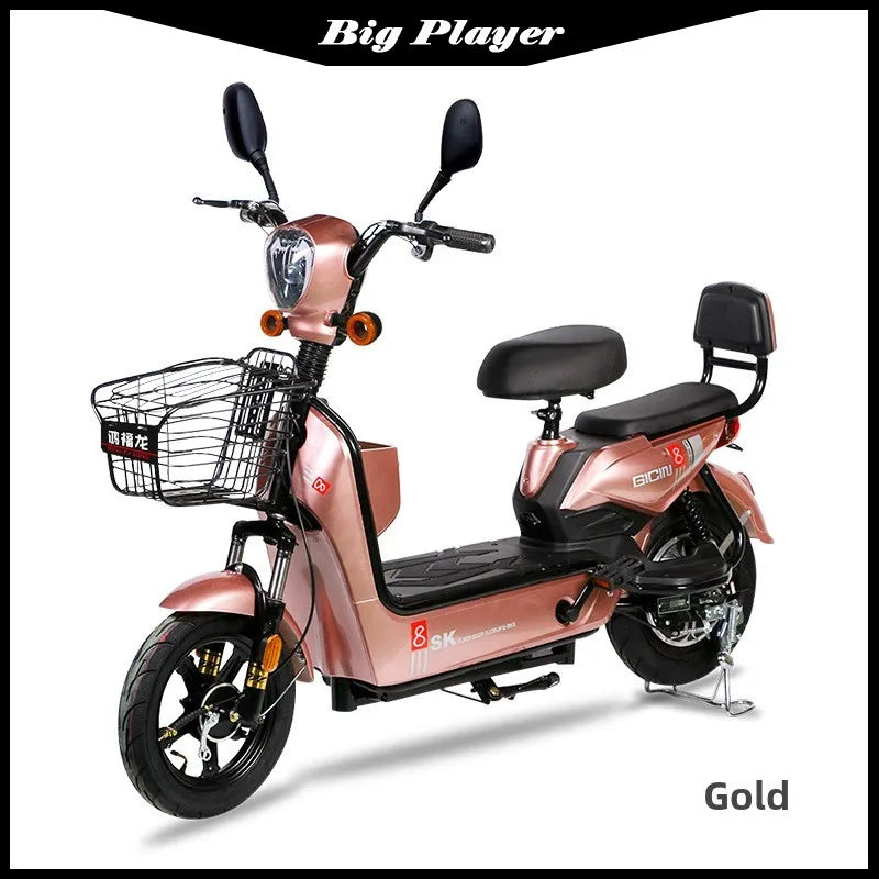Rich Dragon Adult Electric Bicycle