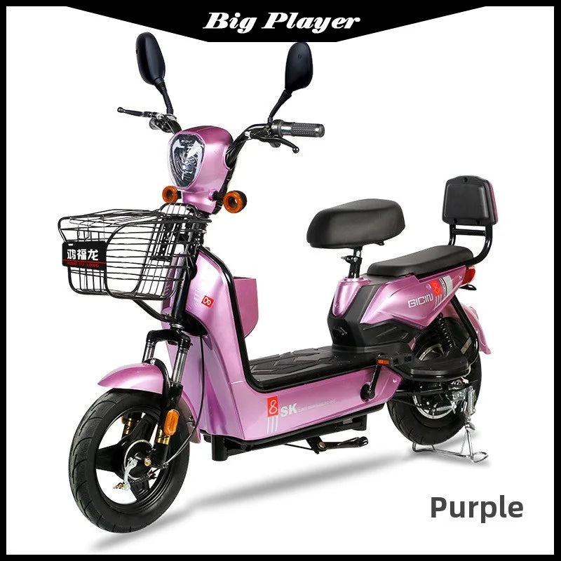 Rich Dragon Adult Electric Bicycle