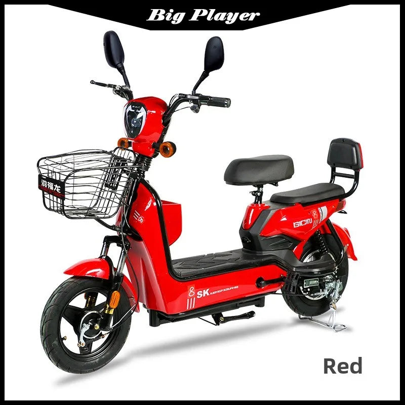 Rich Dragon Adult Electric Bicycle